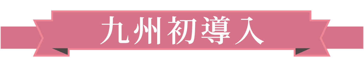 九州初導入